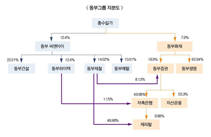 동부생명 상장에 그룹리스크 큰 걸림돌 아냐