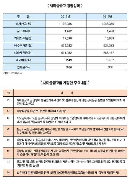 “내부출신 중앙회장이 非전문경영인?”