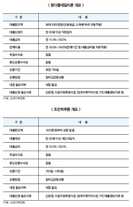 저축銀, “일수대출 영광 다시 한번”