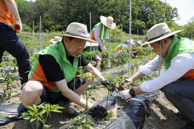 주택금융공사, 농촌 일손돕기 활동 펼쳐