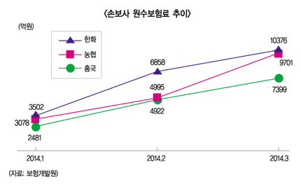 농협손보, ‘서열 브레이커’ 본색 드러내