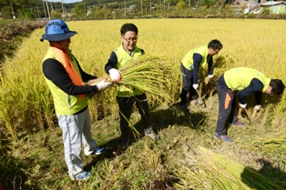 농협손보, 농촌 일손돕기