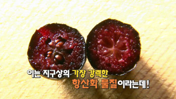 천연방부제 '아로니아' "잃었던 시력 회복에서 위장 나이까지 되돌려!"