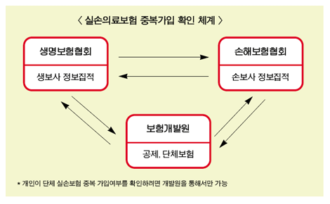 실손보험 중복가입 확인 ‘구멍’ 당국도 몰랐다