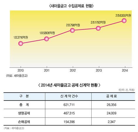 MG손보 정상화 위해 “추가 증자 논의”