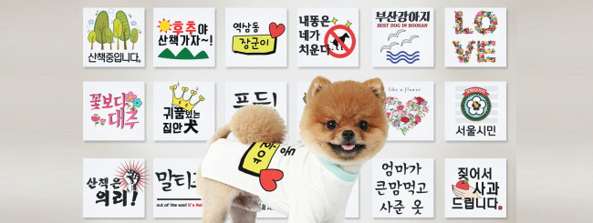내 마음대로 커스텀 제작하는 세상에서 오직 하나뿐인 강아지옷