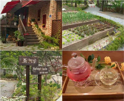 밤나무 거북이 할머니와 건강을 챙기다.