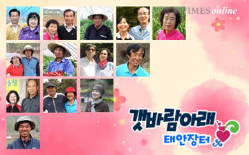 ‘갯바람 태안장터’, 올해 김장 준비는 태안 농산물 직거래로 준비 하세요