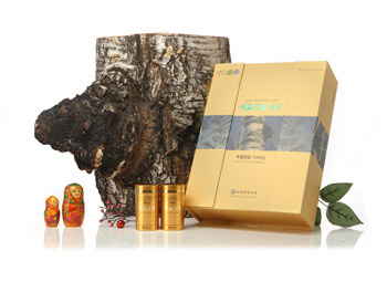 고려인삼공사, 홍삼부터 차가버섯, 후코이단까지 건강식품 전문기업으로 우뚝!