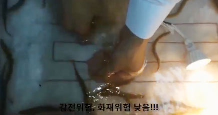 온수 매트, 온열, 전기매트 전자파 없는 자건 추천 온실매트 전기요 동영상이 화제