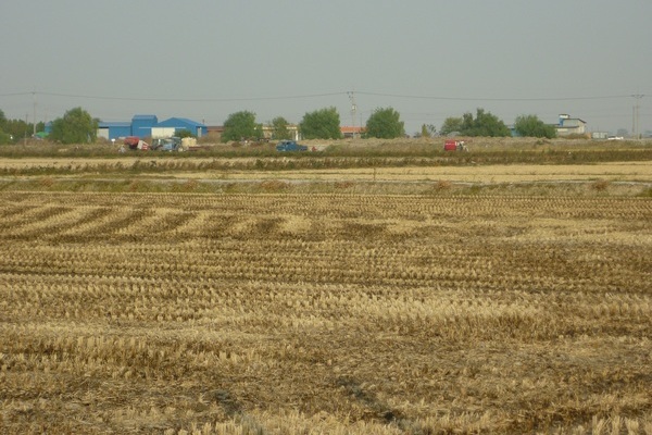 정부가 개정된 농업분야 세법 시행령을 마련함에 따라 앞으로 농업 경쟁력이 높일질 전망이다. 추수가 끝난 들판. 정수남 기자