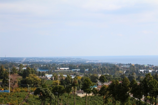 서귀포시 일대. 정수남 기자