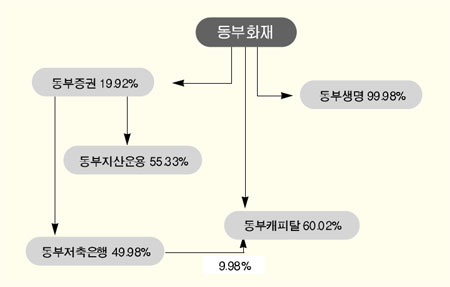 △동부그룹 금융 계열사 지분 출자도/