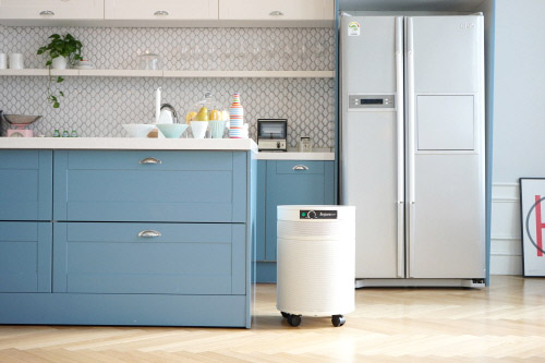 ‘H14 등급 HEPA 필터’ 적용한 공기청정기, 황사·미세먼지 제거율 높아