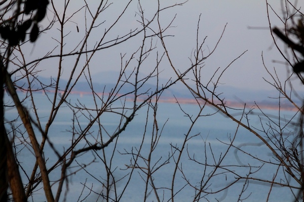 환경부가 통합·집중형 오염하천 개선사업 대상으로 낙동강수계 함안 함안천, 금강수계 논산 논산천, 영산강수계 광주 장수천과 무안 사교천, 섬진강수계 남원 주촌천, 만경강수계 전주 아중천 등 전국의 오염하천 6곳을 선정했다. 사진은 금강 하구. 정수남 기자