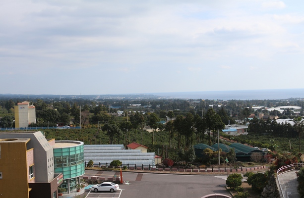 1분기 제주 서귀포시의 공시지가가 가장 많이 올랐다. 사진은 서귀포시 감귤박물관에서 바라본 서귀포시 일대. 정수남 기자