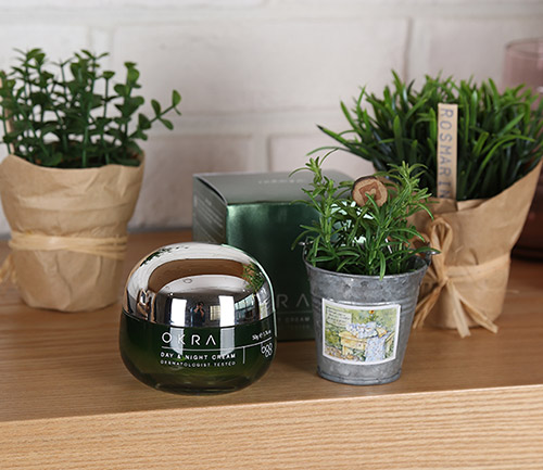 오크라 68.8% 함유 응급 재생 오크라크림, 1차 매진