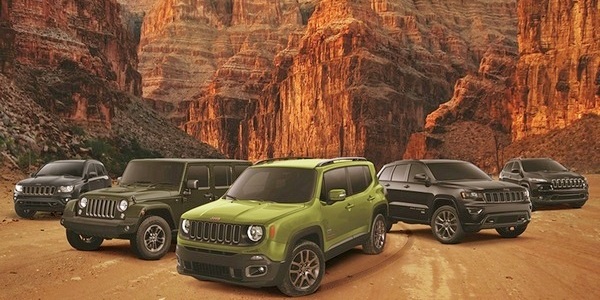 짚 브랜드 모델.