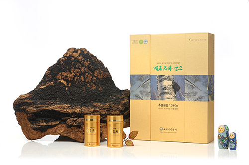 고려인삼공사 환우맞춤형 차가버섯 2016년 브랜드 3관왕 수상!