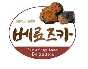 환절기 건강 책임지는 차가버섯의 효능