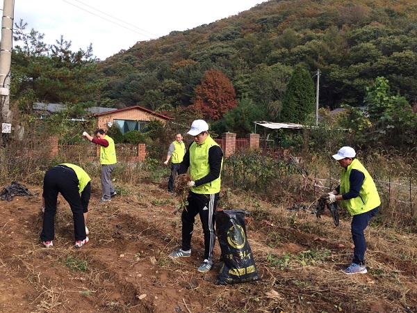 △NH농협카드 직원이 농촌 일손돕기를 진행하고 있다./사진제공=NH농협카드