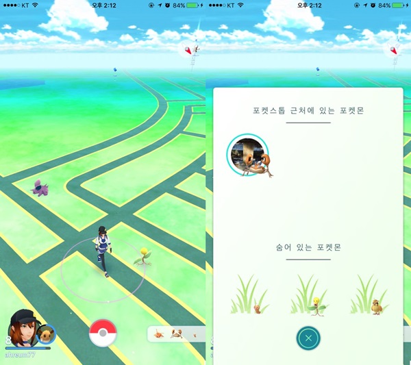 포켓몬고 캡쳐화면. 한국금융신문DB