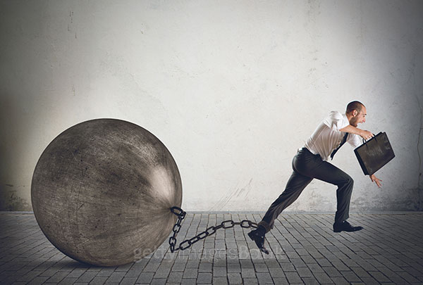 사진제공 : 비즈니스마이트