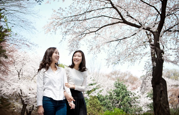 그랜드 워커힐 서울 ‘봄을 봄’ 패키지 출시