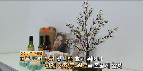 사진:SBS 생활경제 방송화면 캡쳐