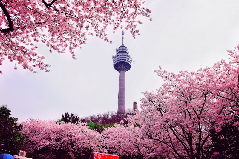 이월드 83타워. 이랜드 제공