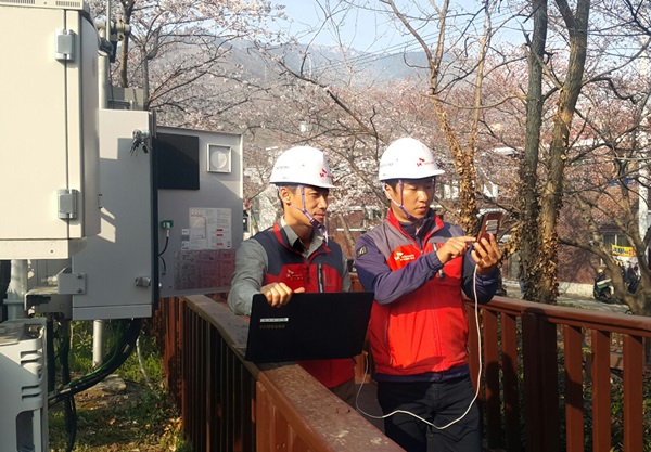 SKT “통신 장애없이 벚꽃축제 즐기세요”