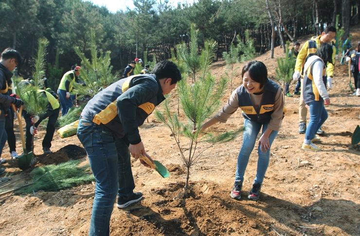 KB국민은행, '조선왕릉 소나무심기' 봉사활동