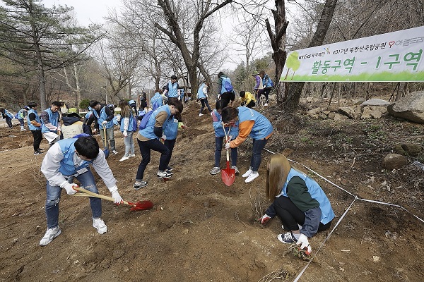 지난 8일 북한산국립공원에서 KT&G 복지재단 대학생 자원봉사자들이 북한산 자생종 산수국 2000그루를 심고 있다. KT&G 제공