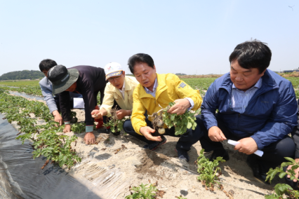 사진 오른 첫 번째부터 이주선 농협중앙회 이사(충남 아산 송악농협 조합장) 김병원 회장.