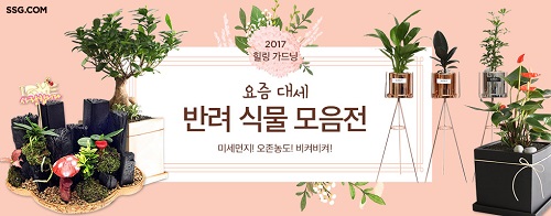 신세계몰, ‘홈 가드닝’ 매출 112%↑…반려식물 인기