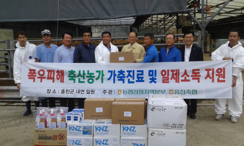 농협 폭우피해 축산농가 긴급 가축진료 및 일제소독