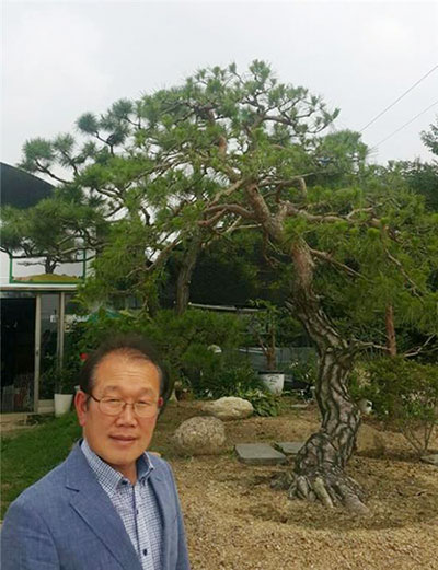 ▲사진:아지트조경 정정동대표(한국분재 예술협회 고문)