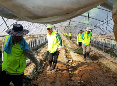 경기농협, 충북 호우 피해지역 복구 지원에 구슬땀