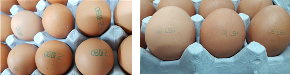 살충제 성분인 피프로닐이 검출된 마리농장의 계란 껍질에는 ‘08마리’(좌), 비펜트린이 검출된 우리농장 계란 껍질에는 ‘08LSH’가 각각 표시돼있다. 식품의약품안전처 제공 