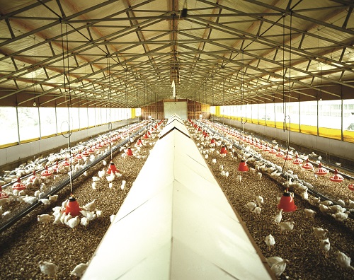 사진=이미지투데이