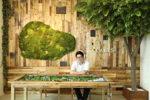 자연주의 인테리어 ‘소울플랜츠’ 살아 있는 식물을 실내인테리어에 접목