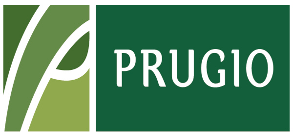 사진=대우건설.