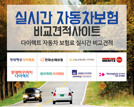 출처:다이렉트카 보험몰