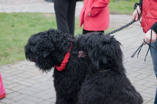 사진=이미지투데이