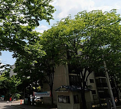 ▲ 수원 영통 2구역에 위치한 매탄 주공 4단지.