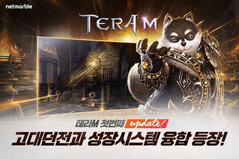 넷마블 ‘테라M’ 고대던전 업데이트…70레벨부터 입장