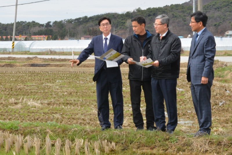 △오병관 농협손해보험 대표이사(사진 왼쪽 세 번째)가 유남영 정읍농협 조합장(사진 왼쪽 첫 번째), 박춘성 농업정책보험금융원 본부장(사진 오른쪽)과 함께 ‘벼’ 농업농작물재해보험에 가입하는 농업인 신운식(사진 왼쪽 두 번째)씨의 논을 둘러보며 가입내용에 대해 대화를 나누고 있다. / 사진=NH농협손해보험