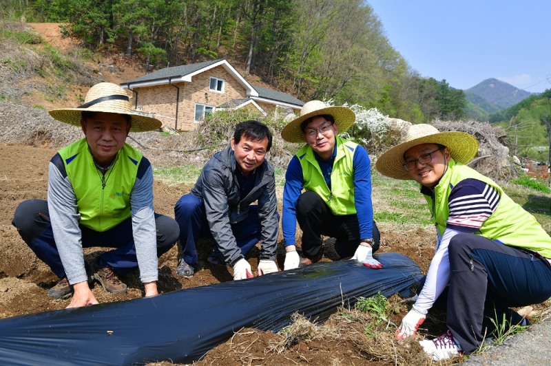 왼쪽부터 홍태영 신용감리부장, 신형국 신당마을 주민, 이대훈 농협은행장, 김양수 감리전략팀장이 밭고랑에 비닐을 씌우는 작업을 하고 있다. / 사진= 농협은행