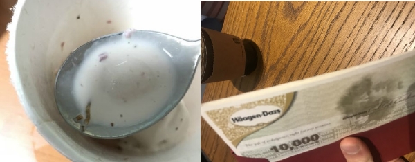 하겐다즈 스트로베리맛 제품에서 발견된 딱정벌레 유충 사진과 본사 측이 피해자에게 보상으로 건넨 상품권. 온라인 커뮤니티 캡처