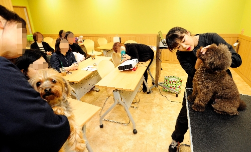 이마트 문화센터 애견 강좌. 이마트 제공